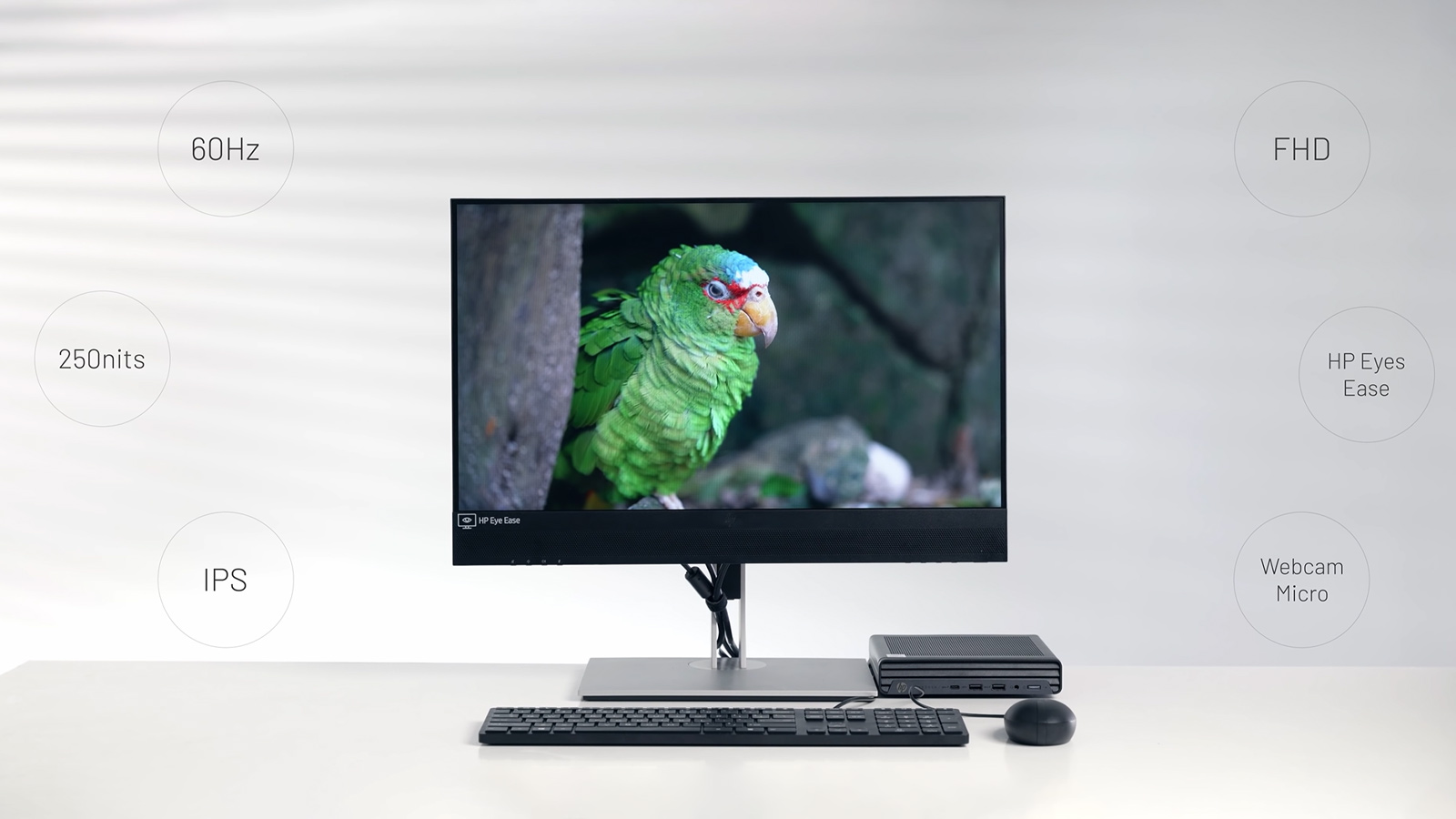 HP E24mv G4 và EliteDesk 800 G6