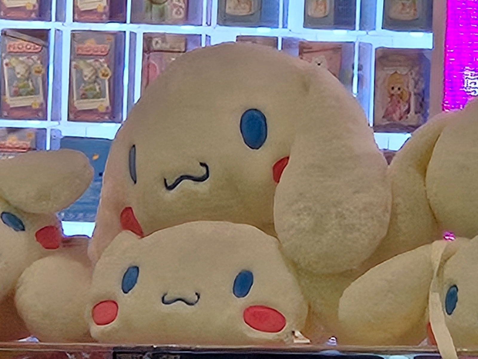 Galaxy Z Fold6 (Zoom 30X)