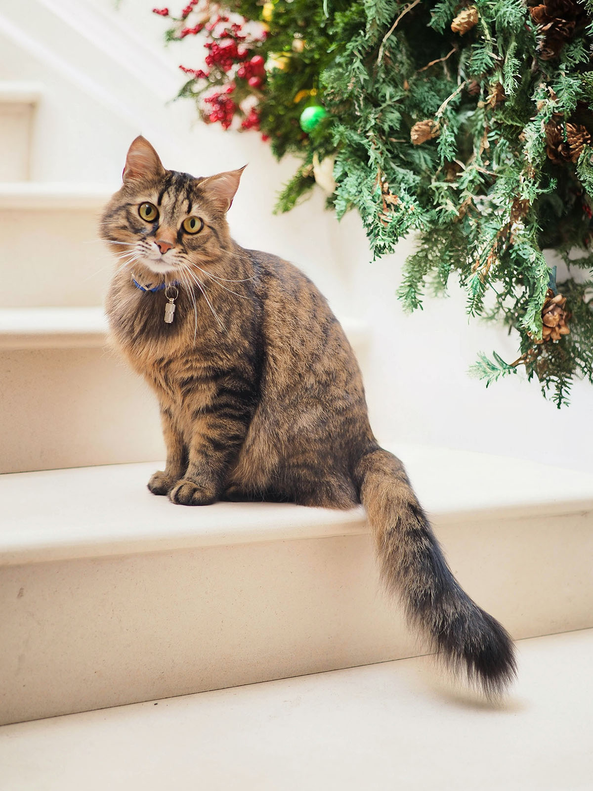 Ảnh chỉnh sửa bằng Magic Editor