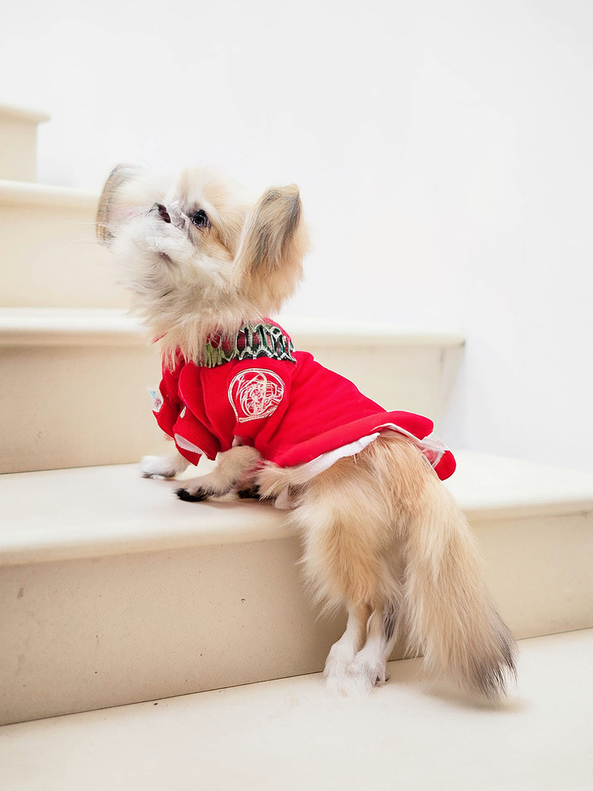 Ảnh chỉnh sửa bằng Magic Editor