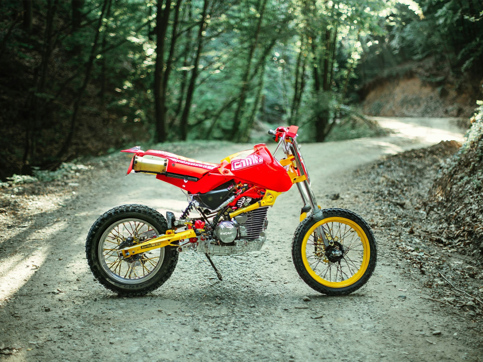 Ảnh chỉnh sửa bằng Magic Editor