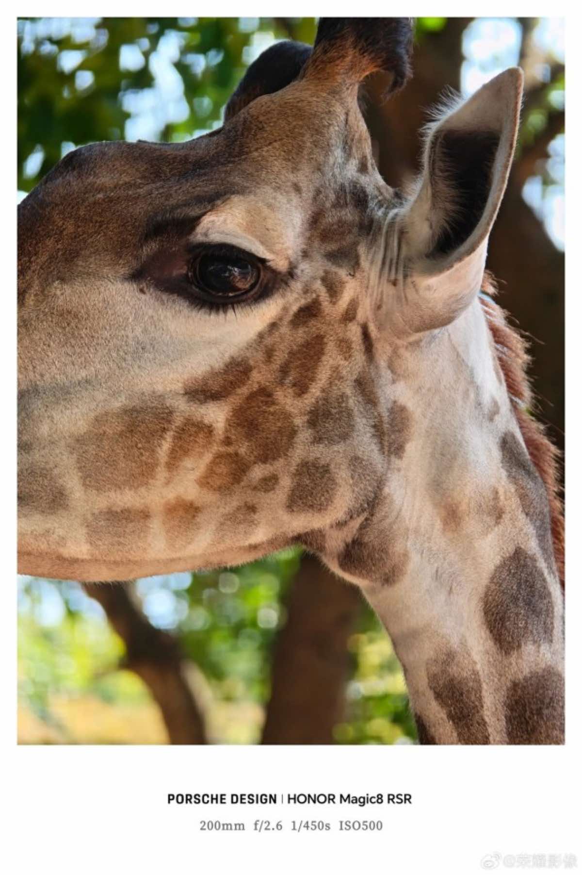 Sau vivo và OPPO, đến lượt HONOR ra mắt ống kính rời cho smartphone插图3