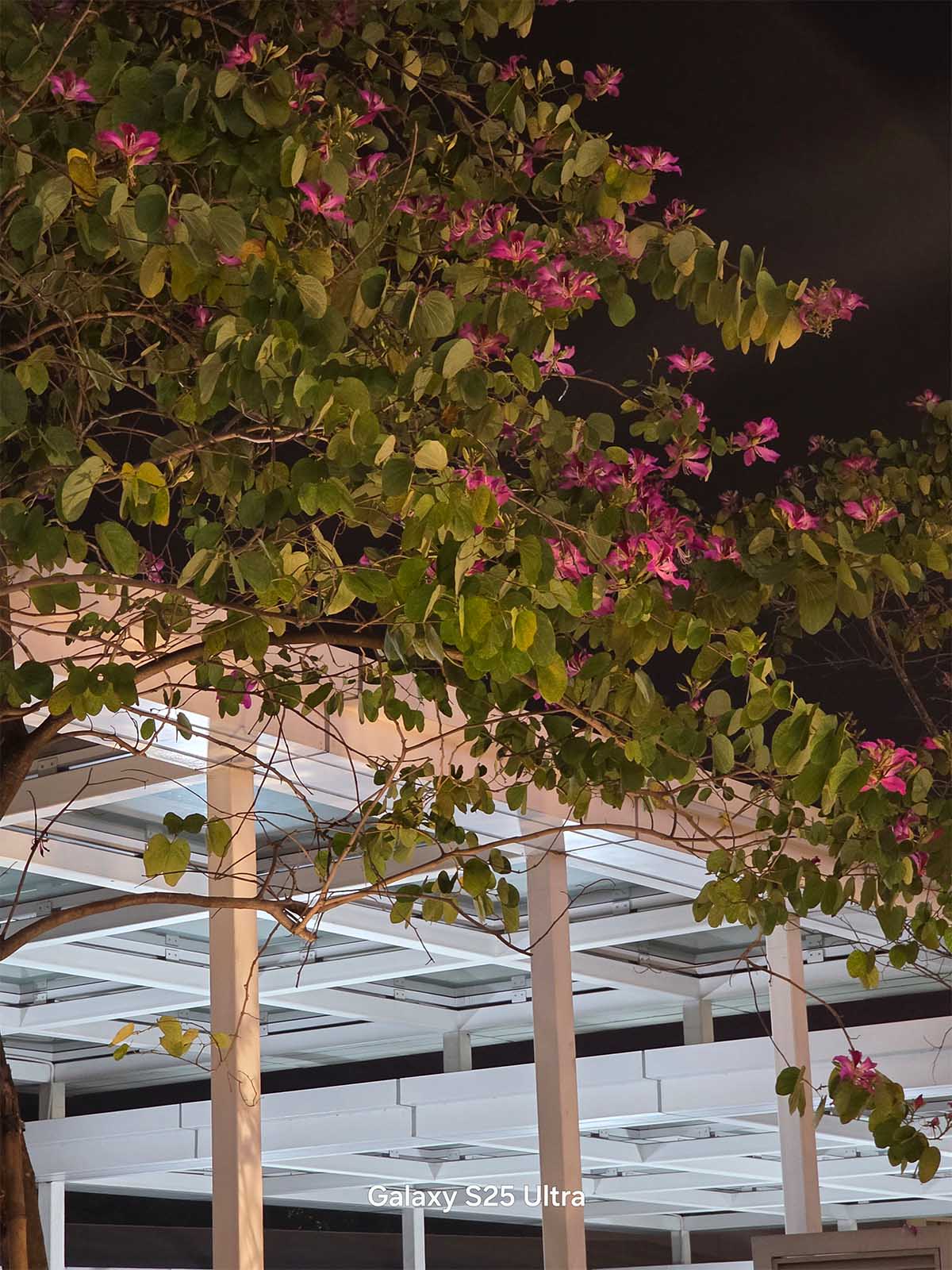 Galaxy S25 Ultra