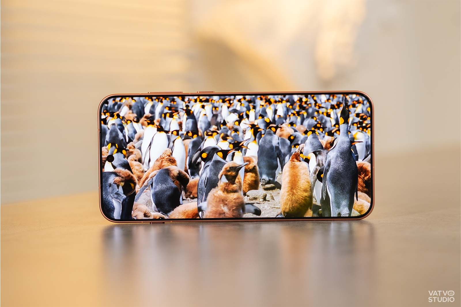 Danh-gia-OPPO-Find-X9s-09.jpg