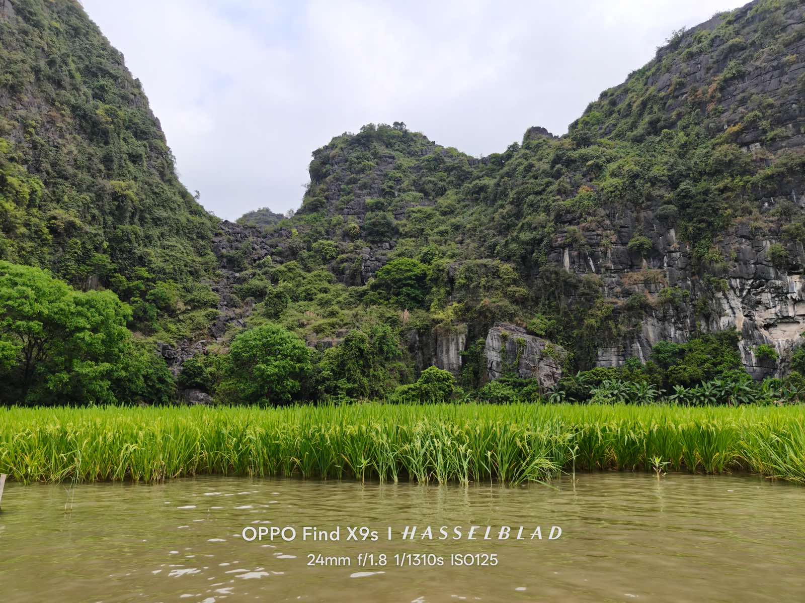 OPPO-Find-X9s-Camera-1-1.jpg